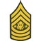 Command Sergeant Major The Army Dress Green Patches 3"